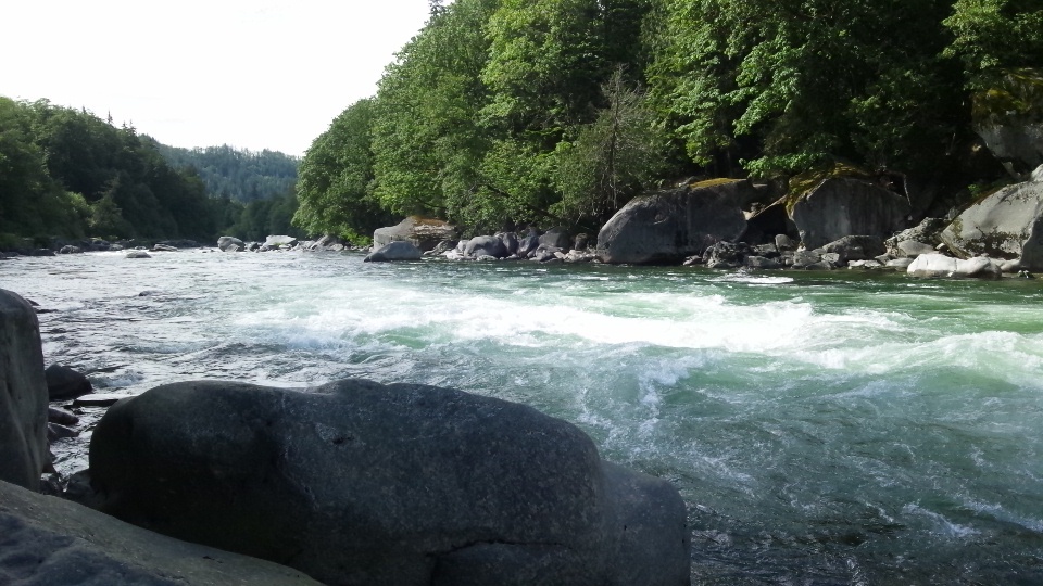 Skykomish River Rafting 9