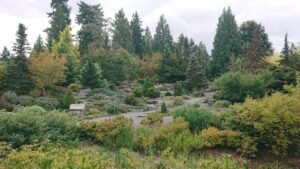 Bellevue Botanical Garden Trip 2021.09.19