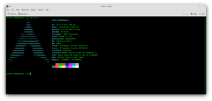 Arch Linux List Of Packages To Install
